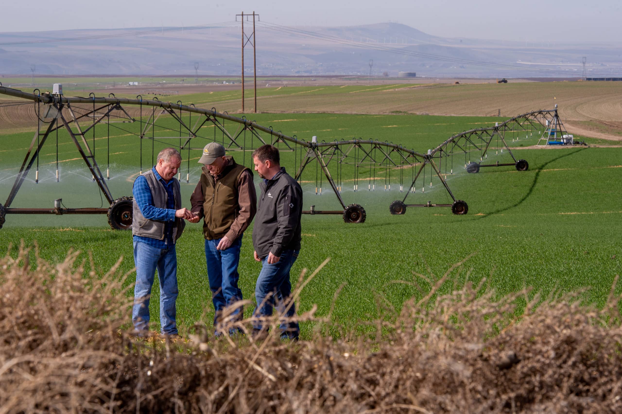 For Simplot Grandview Farms, Potatoes Are Just the Beginning