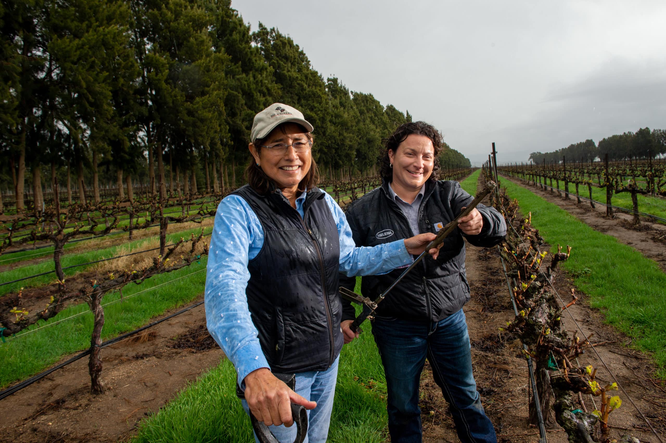 Precision Nutrient Application Produces Premium Wine