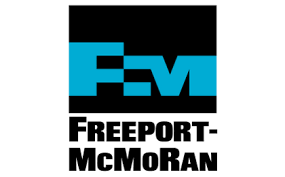 Freeport-McMoRan Energy LLC