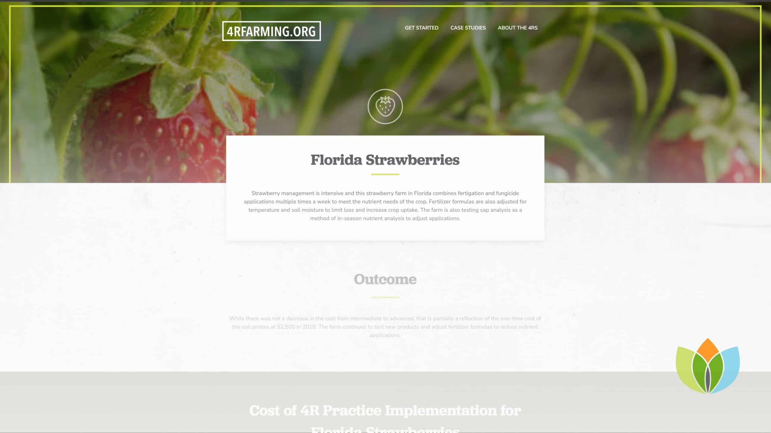 Florida strawberry farm tests advanced 4R practices and products