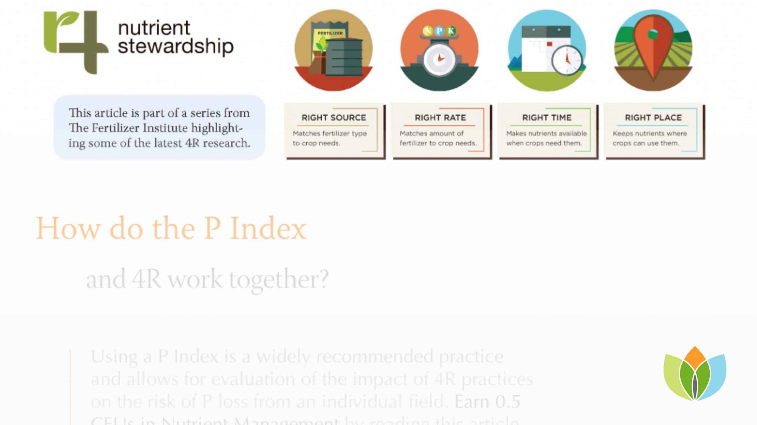 How do the P Index and 4Rs Work Together?