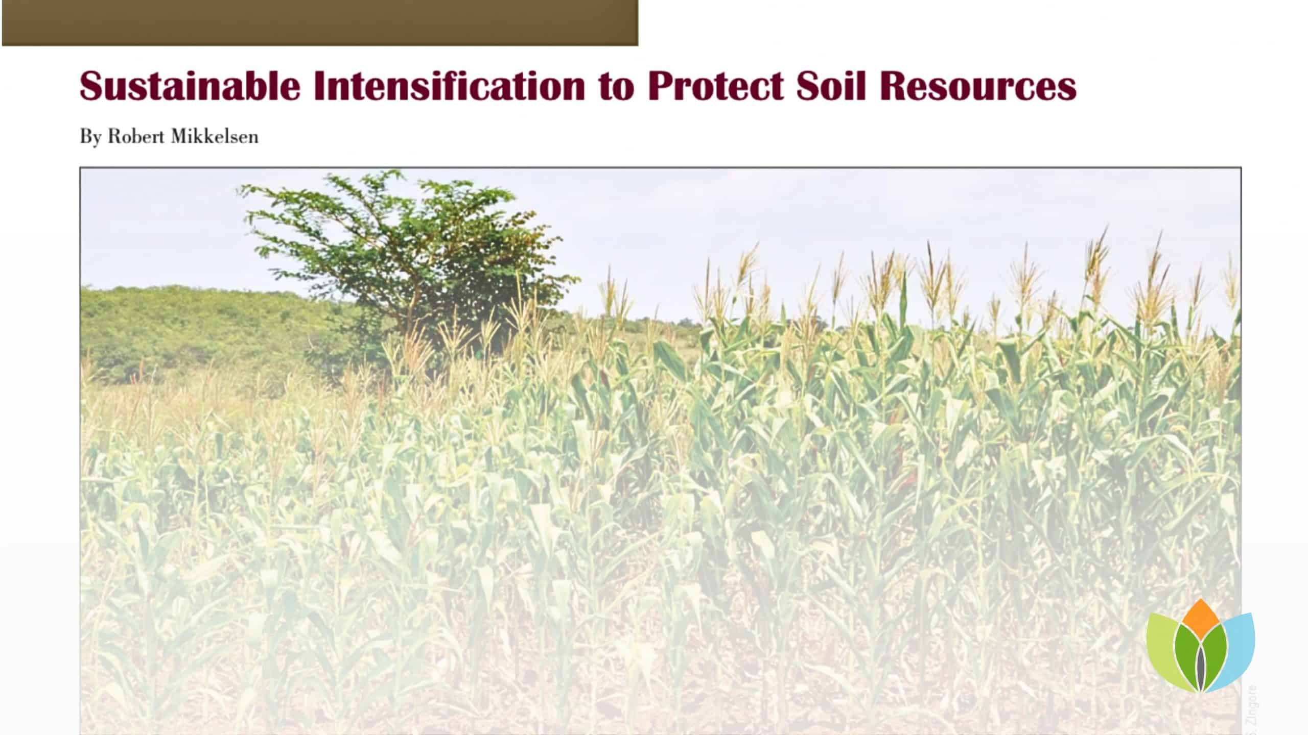 Sustainable Intensification to Protect Soil Resources