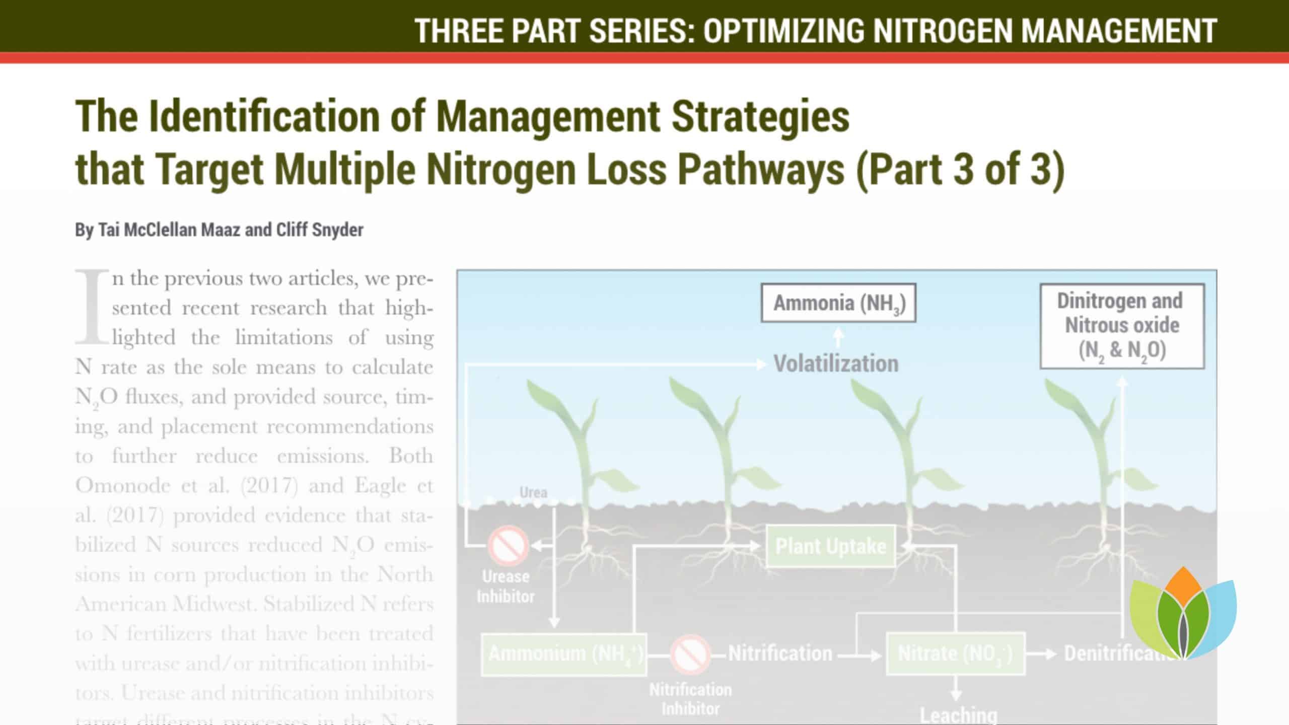 The Identification of Management Strategies that Target Multiple Nitrogen Loss Pathways (Part 3 of 3)