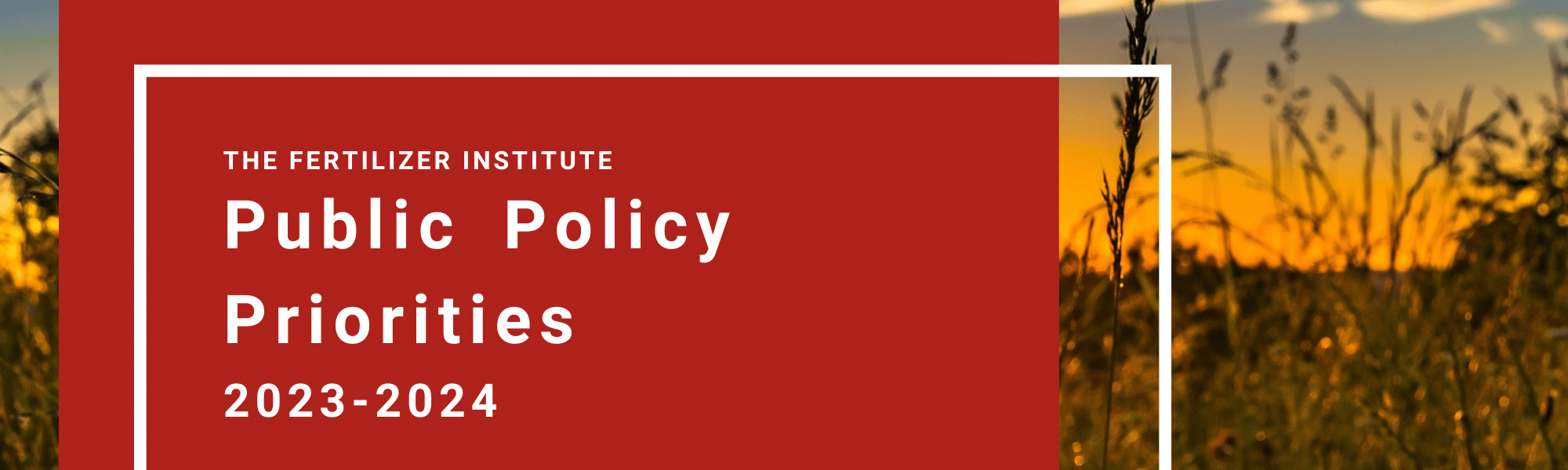 Public Policy Priorities 2023-2024