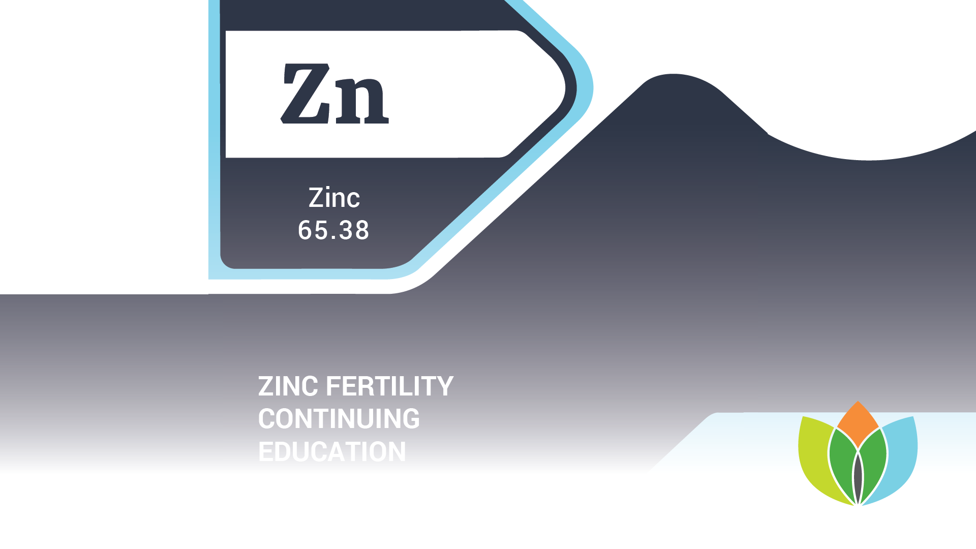 Zinc Fertility