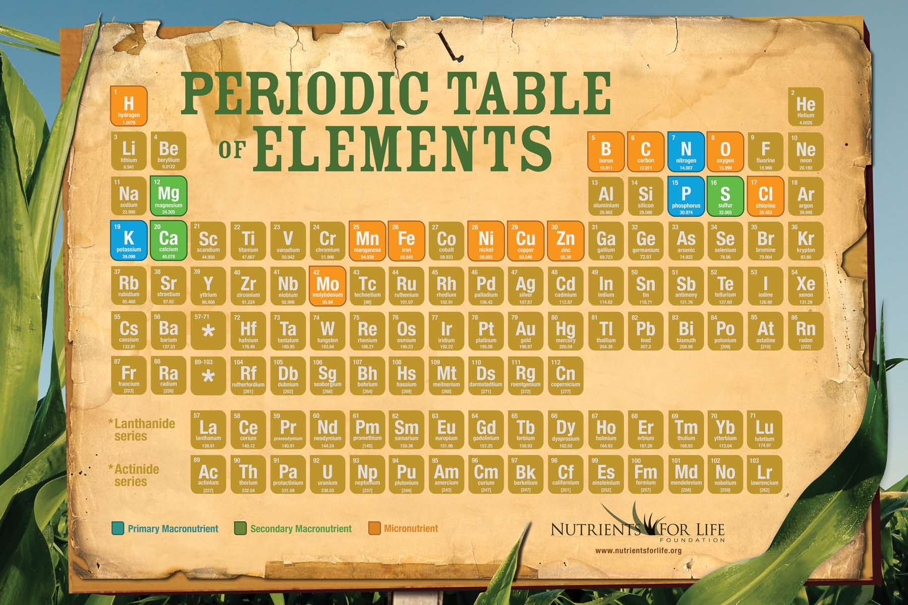 Periodic Table Poster